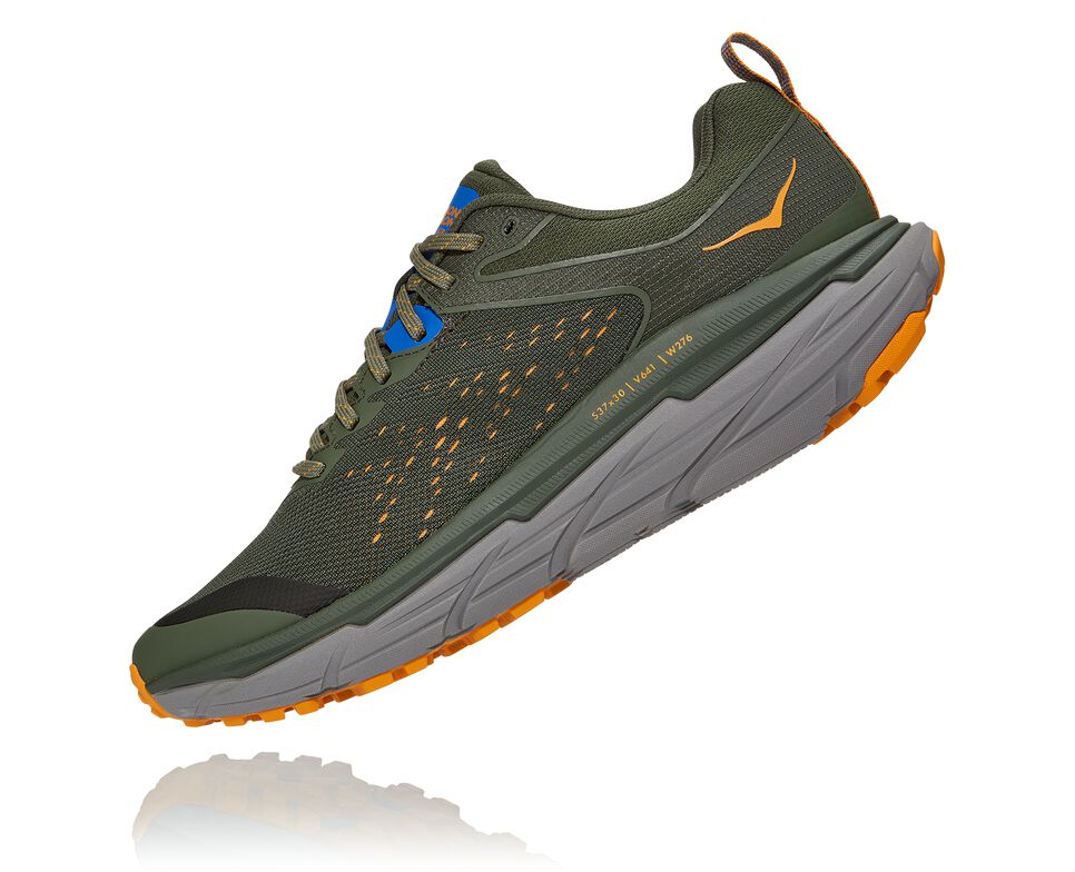 Hoka One One Challenger ATR 6 Trail löparskor Herr Thyme / Sharkskin | 07EPVYUDJ