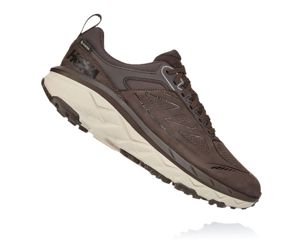 Hoka One One Challenger Low GORE-TEX Trail löparskor Herr Demitasse | 40LSGWOPF