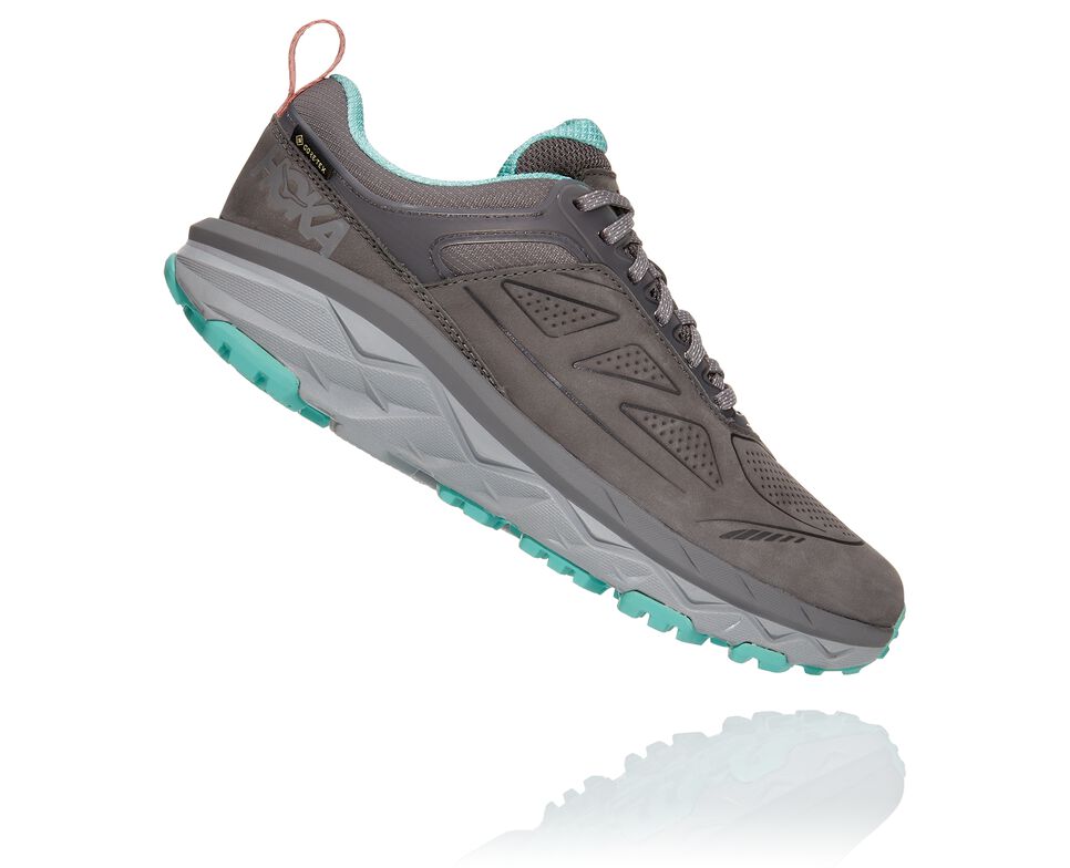 Hoka One One Challenger Low GORE-TEX Vandringskängor Dam Charcoal Gray / Wild Dove | 05TCSHEPU