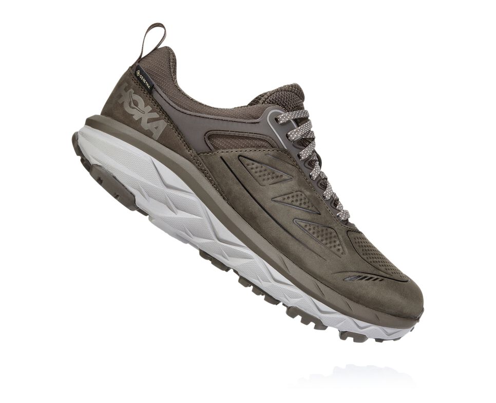 Hoka One One Challenger Low GORE-TEX Vandringskängor Dam Bruna | 74NYIBDXO